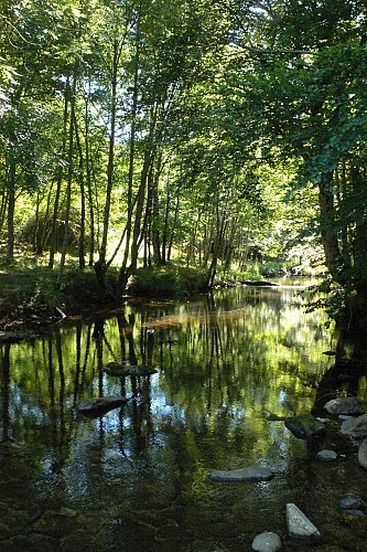 RANDONNEE DE LA HAUTE VALLEE DE L'AGOUT