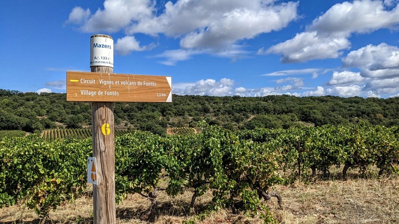 Oenorando des vignes et volcans de fontes0010 ©Gilles Delerue - ADT34