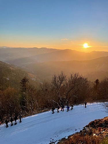 Circuit damé raquettes (payant) - Markstein Grand Ballon - R5