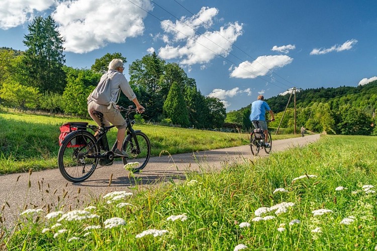 Cycle route : Axe A from Wissembourg to Betschdorf by Soultz-sous-Forêts