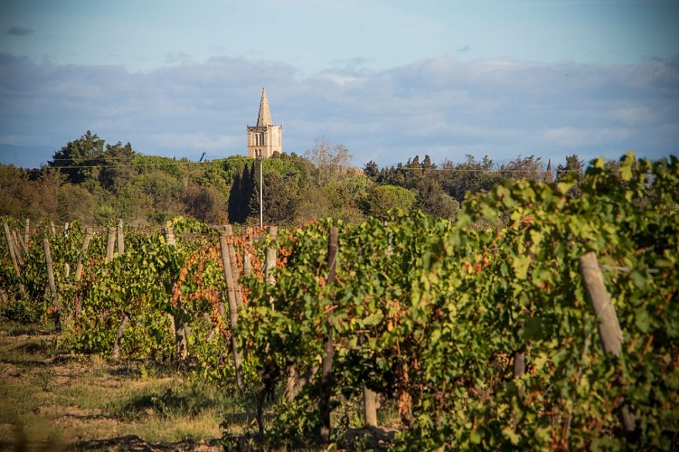 rando-pasejade-del-cres-serignan©MaryneTorchy (8)