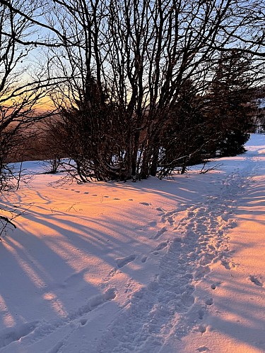 Circuit raquettes - Markstein Grand Ballon (GR532 hiver) - R4