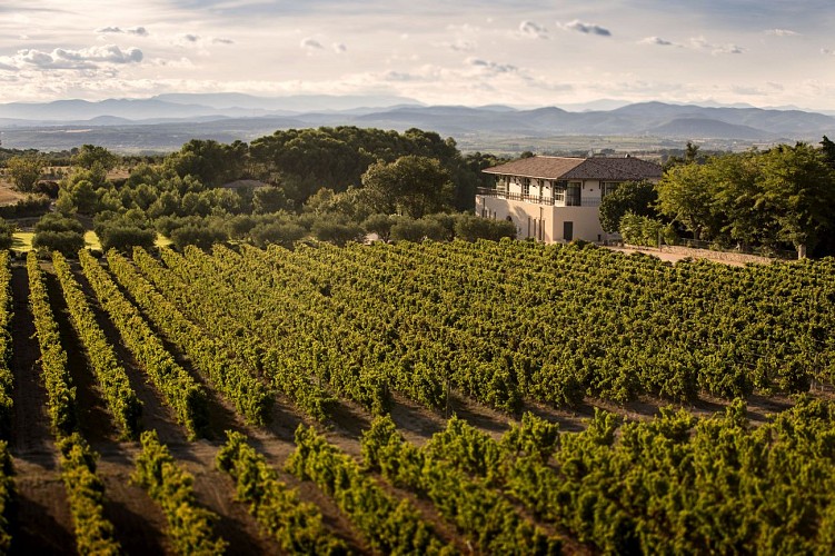 Château Paul Mas, Vignes de Nicole, Montagnac
