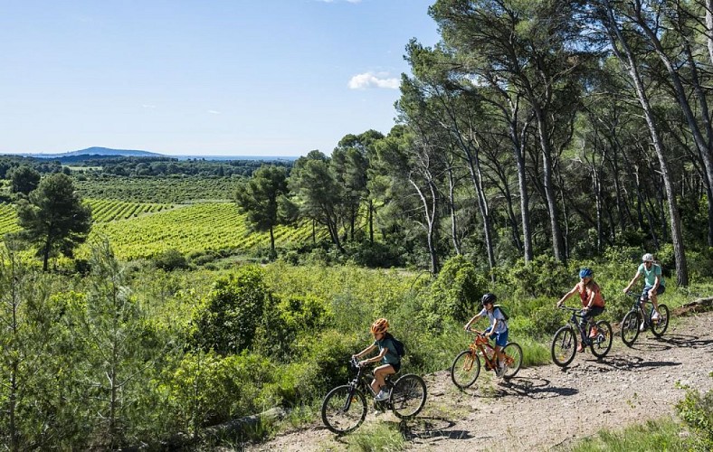Parcours d'animation VTT Bessilles