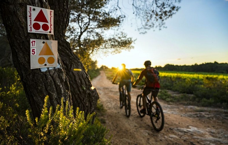 Circuit le grand Picpoul