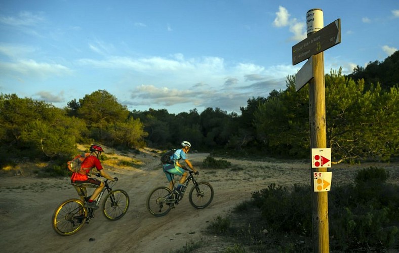 Circuit le grand Picpoul