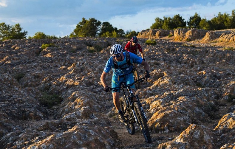 Circuit le grand Picpoul