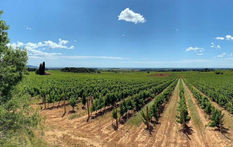 Circuit le grand Picpoul