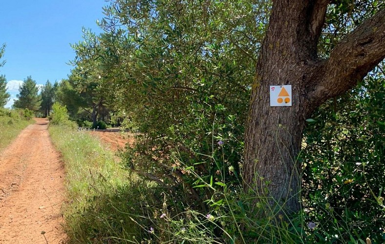 Circuit le grand Picpoul