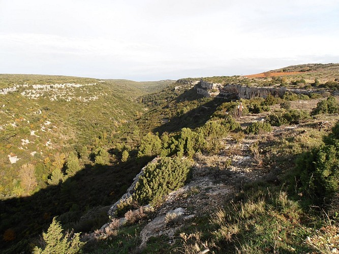 La Caunette T.Azema 8