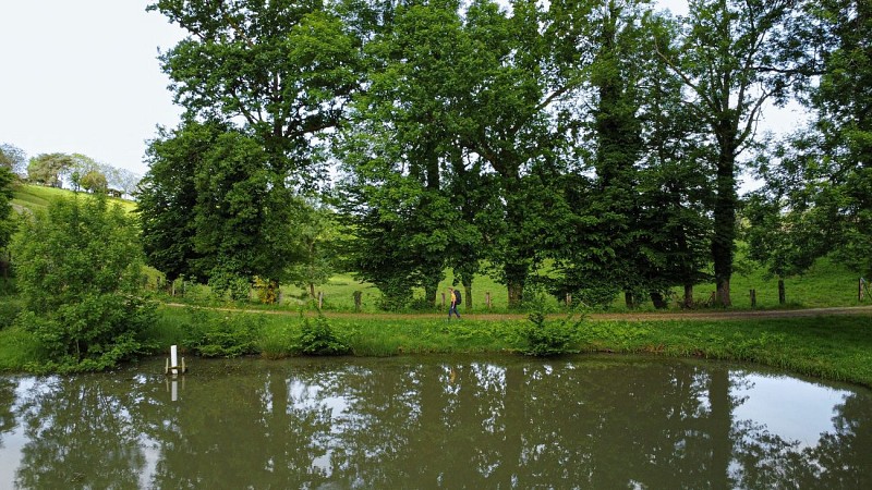 Corrèze Tourisme_GR46_Étang de Bois-Coutal (2)_© David Genestal_juin 2024