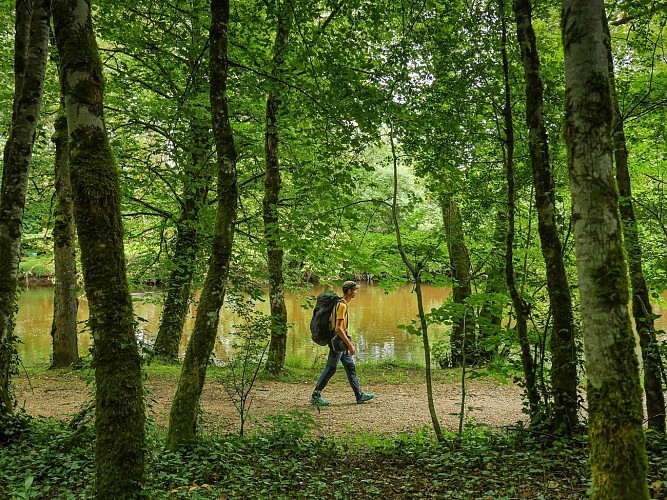 Corrèze Tourisme_GR46_Bords de la Vézère près de Saint-Viance (2)_© David Genestal_juin 2024