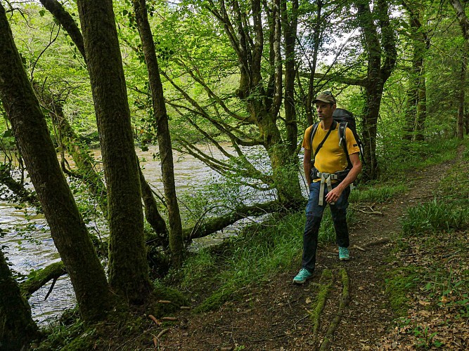 Corrèze Tourisme_GR46_Le long de la Vézère_© David Genestal_juin 2024