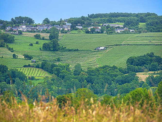 Corrèze Tourisme_GR46_Vignobles des coteaux de la Vézère_© David Genestal_juin 2024