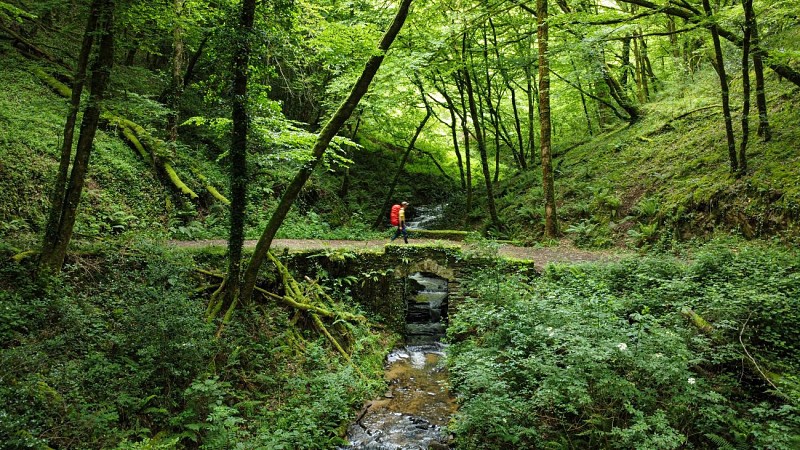 Corrèze Tourisme_GR46_Pont de Pouch_© David Genestal_juin 2024