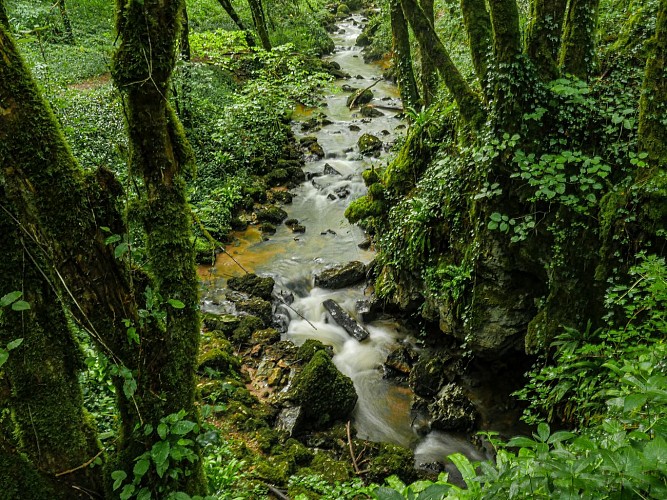 Corrèze Tourisme_GR46_Perte de la Couze_© David Genestal_juin 2024