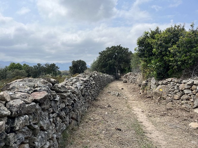 Traversée Gare San Gavino - L'Ile-Rousse