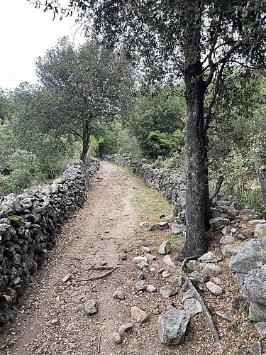 Traversée Gare San Gavino - L'Ile-Rousse