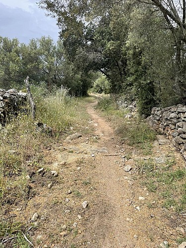 Traversée Gare San Gavino - L'Ile-Rousse