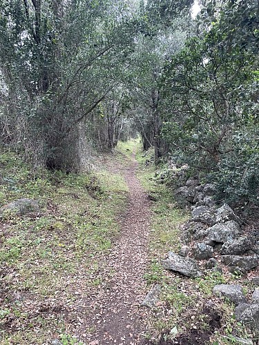 Traversée Gare San Gavino - L'Ile-Rousse