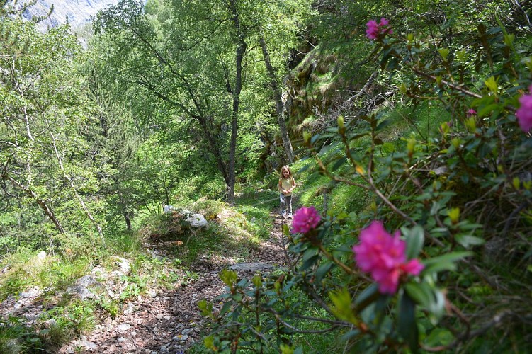 Bénardiére via Pré Clot - hike from Le Clot_Saint-Christophe-en-Oisans
