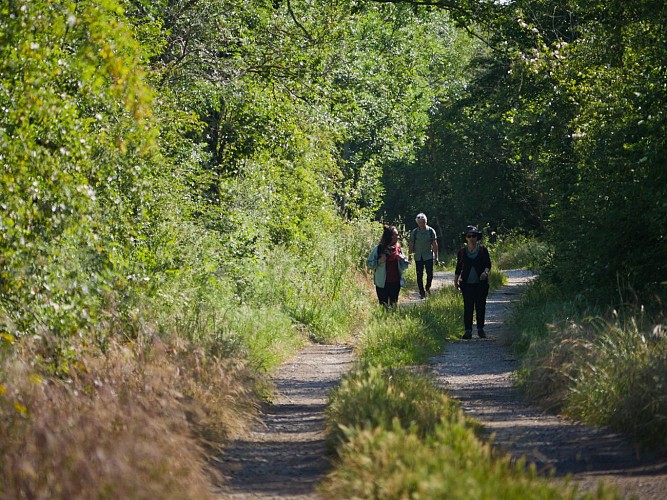 Gatine Poitevine_Lhoumois_La Forge à Fer (2)_David Genestal_Carnets de Rando crédit D.GenestalCarnets de RandoPays de Gâtine