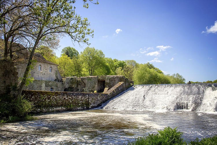 IMG_5061-Modifier forge a fer