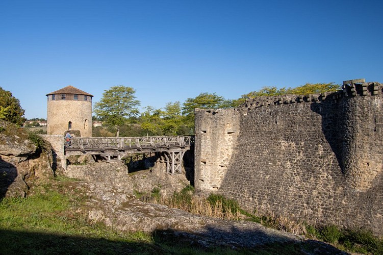 Château de Parthenay