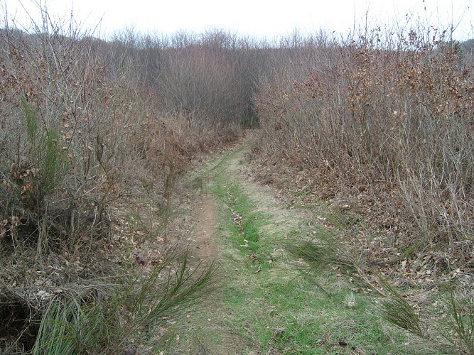 Chemin rural des randonneurs2