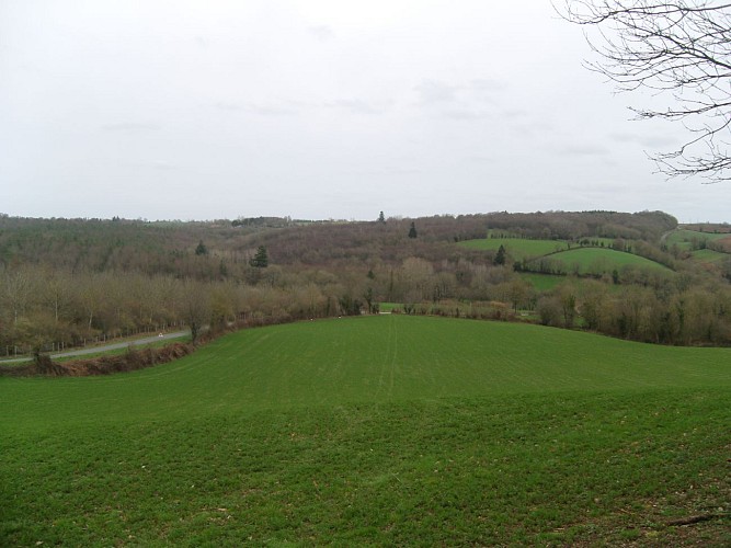 panorama forêt domaniale et bocage