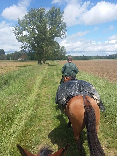 Route Equestre d'Artagnan