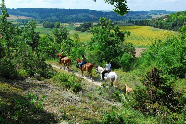 Route Equestre d'Artagnan