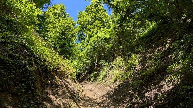 Chemin Ruelle de la Vieille Montagne