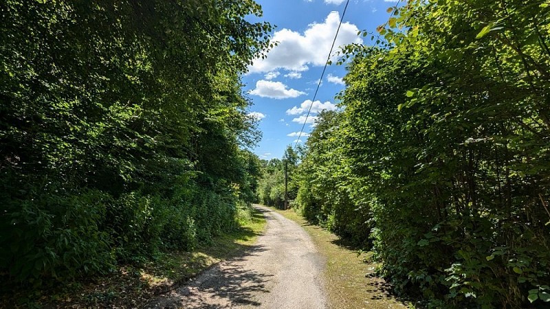 Chemin Ruelle de la Vieille Montagne II