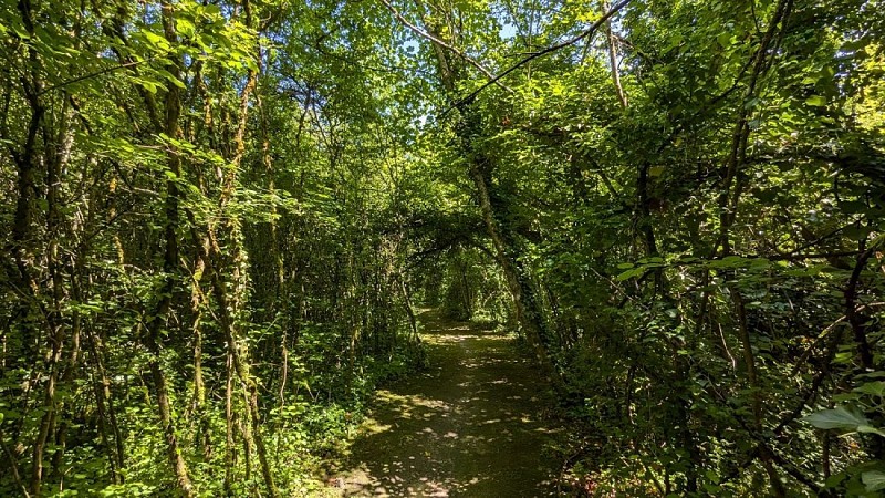 Chemin Ruelle de la Montagne 