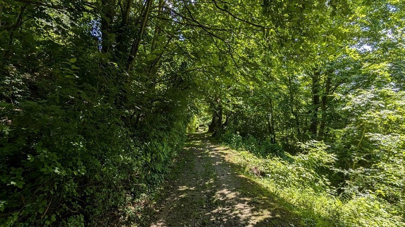 Départ Chemin Ruelle de la Vieille Montagne