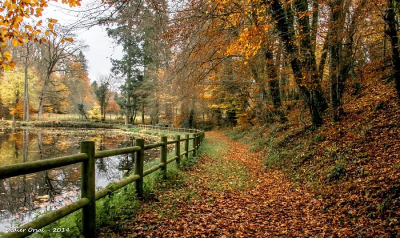 Etang de la La Herse - Bellême