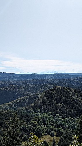 Vue sur le Mont Blanc