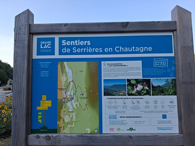 Chestnut Tree and the "4" Trails_Serrières-en-Chautagne