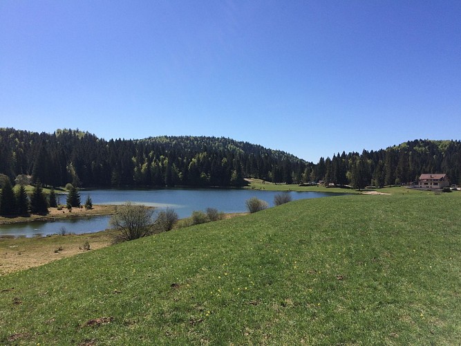 Parcours de trail n°12 - Le couloir Basset