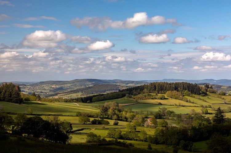 paysage-etienne-ramousse-images-verts-vallons-sud-bourgogne-035