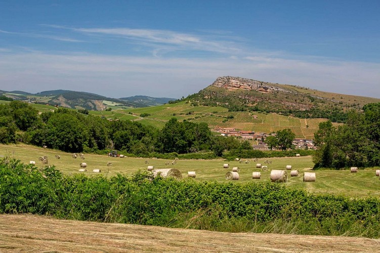 solutre-pouilly-la-grange-du-bois-paysage-etienne-ramousse-images-macon-sud-bourgogne-009