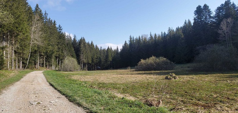 La borne des 3 cantons - Parcours de trail n°20