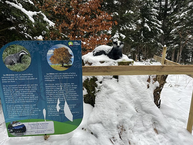 La piste des animaux à la Praille