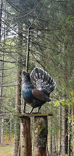 Balade - La piste des animaux