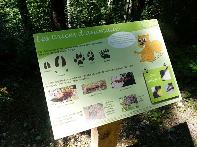 Les voiles du Landeyron