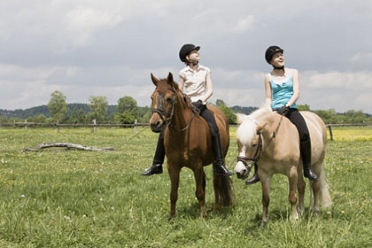 Randonnee equestre Ain à cheval autour de Saint Etiene sur Chalaronne