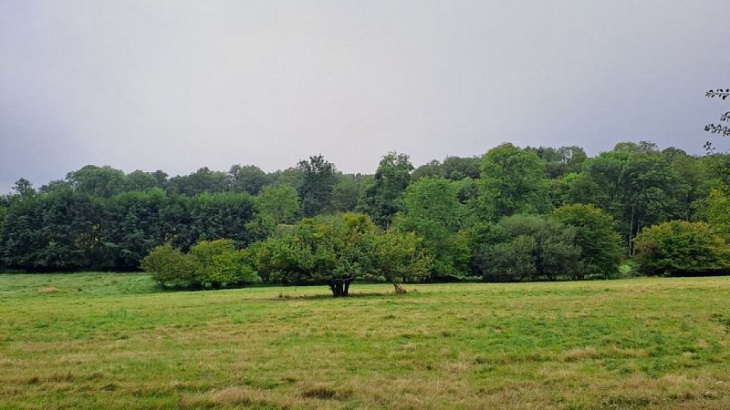 La Bazoche-Gouet, une baronnie du Perche