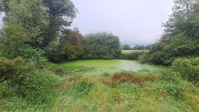 La Bazoche-Gouet, une baronnie du Perche