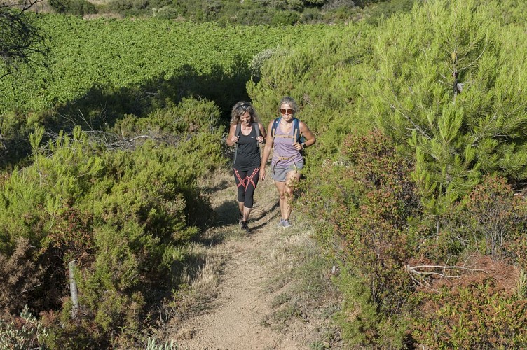 8 / Mailhac : les Roumanisses viariante longue